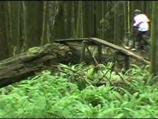 Heckle and Jeckel + broken wrist