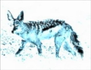 Can You Feel The Music - by Jackaltooth