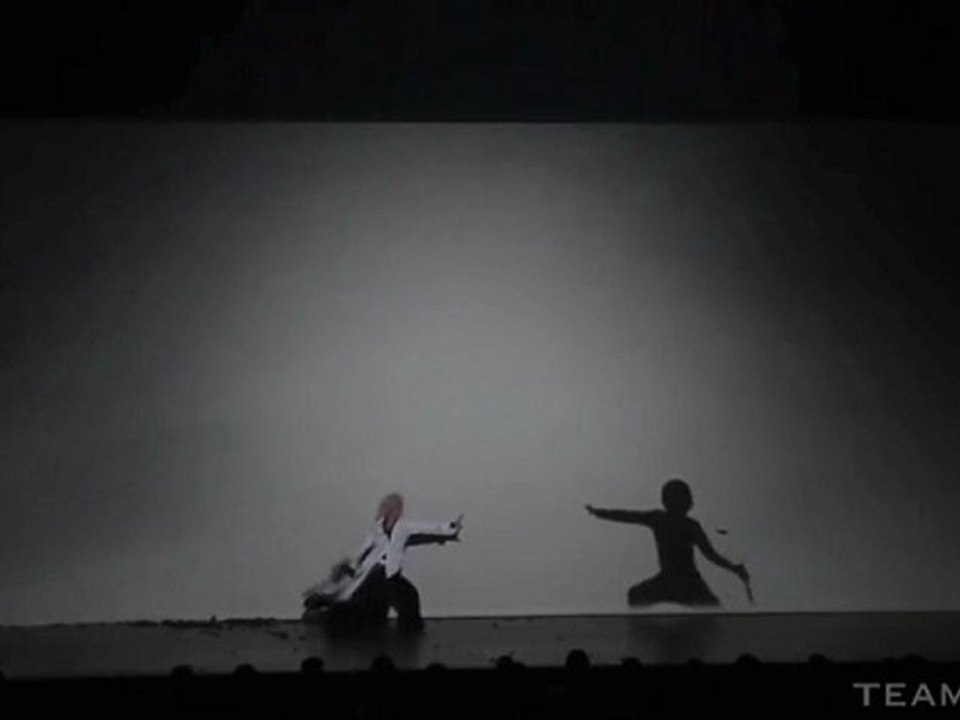 Un samouraï se bat contre des ombres