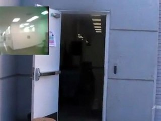 Robot hummingbird passes flight tests