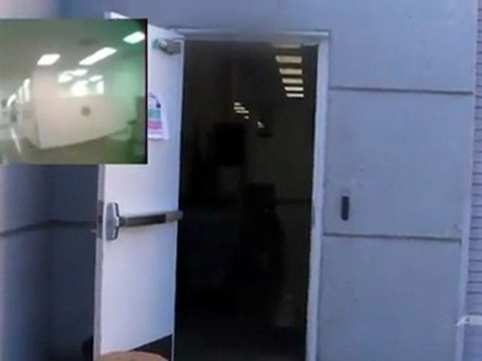 Robot hummingbird passes flight tests