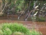 Western Australia hit by floods as rivers peak