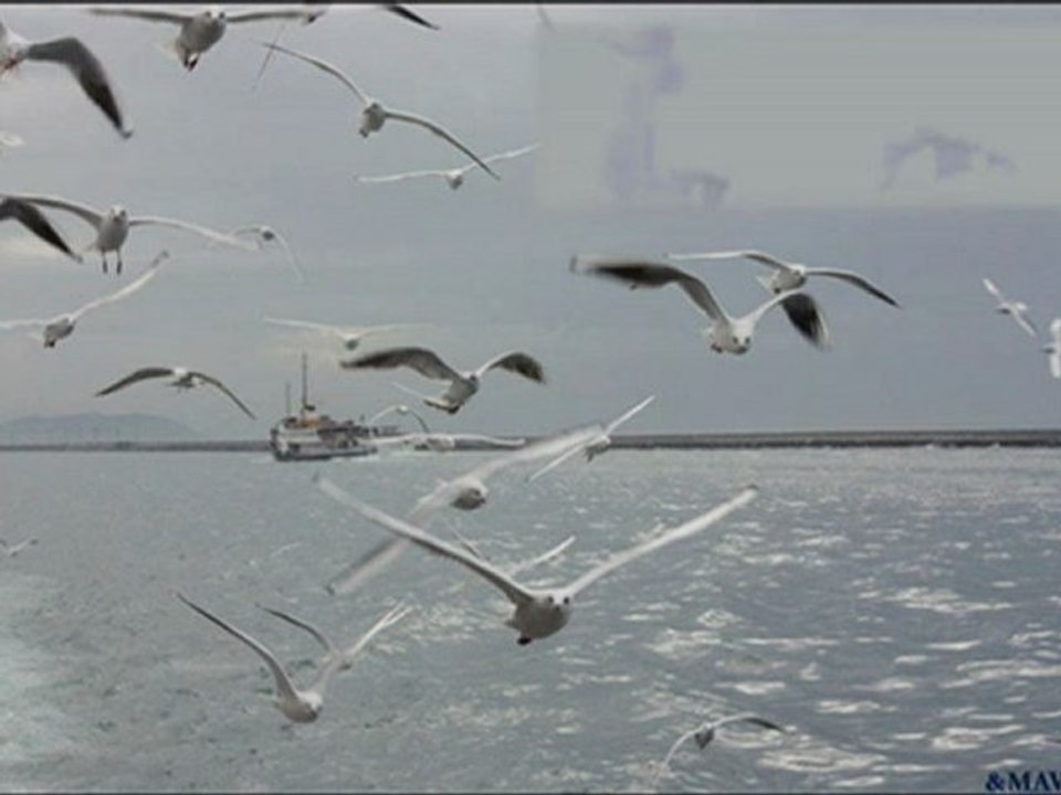 Suzan Kardeş (Bir Kızıl Goncaya Benzer Dudağın)