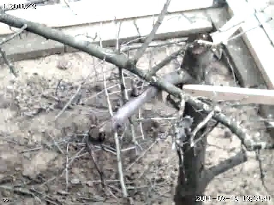 Positionierung der neuen IN 3010