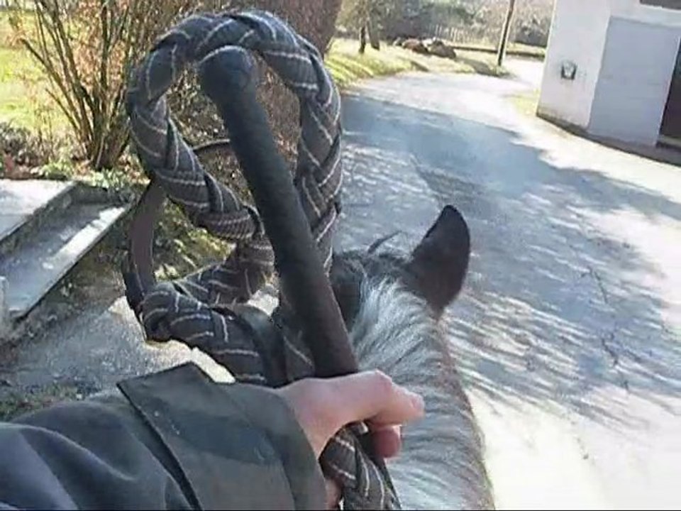 ballade voix