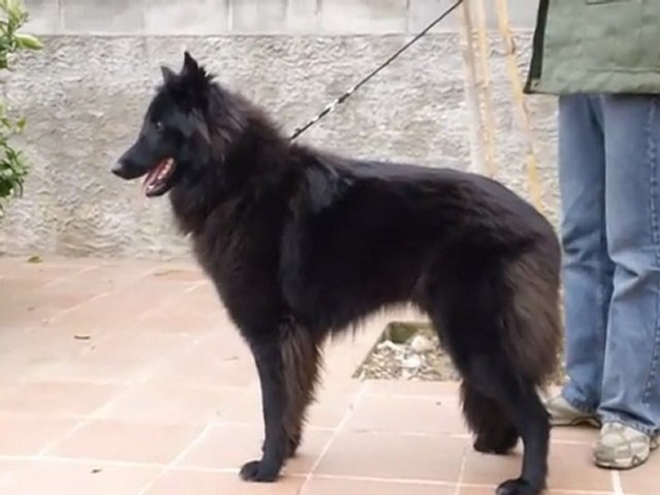 kiva de l´Anoia