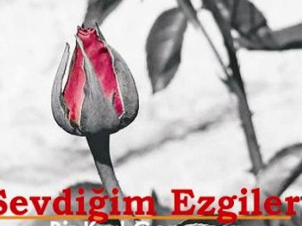 Bir Kızıl Goncaya Benzer