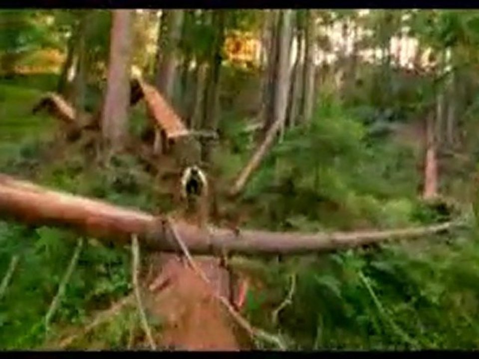 MTB Power