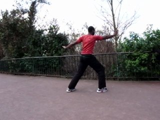 shi ho tai ku exercice  developpement energie interne