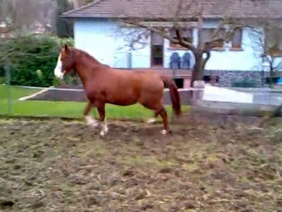 cara 18-02-2011