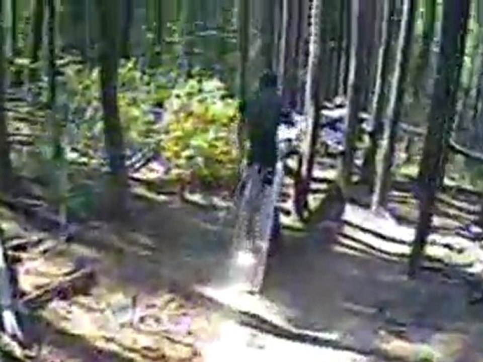 The Panorama Trip