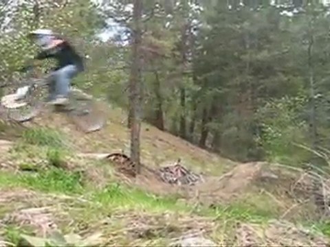 Shreddin Da Loops II