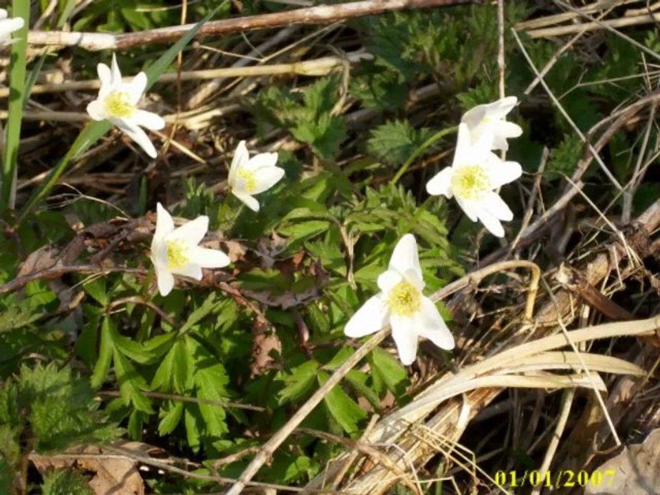 Ewa Błaszczyk- Ja nie odchodze kiedy trzeba by Tomek