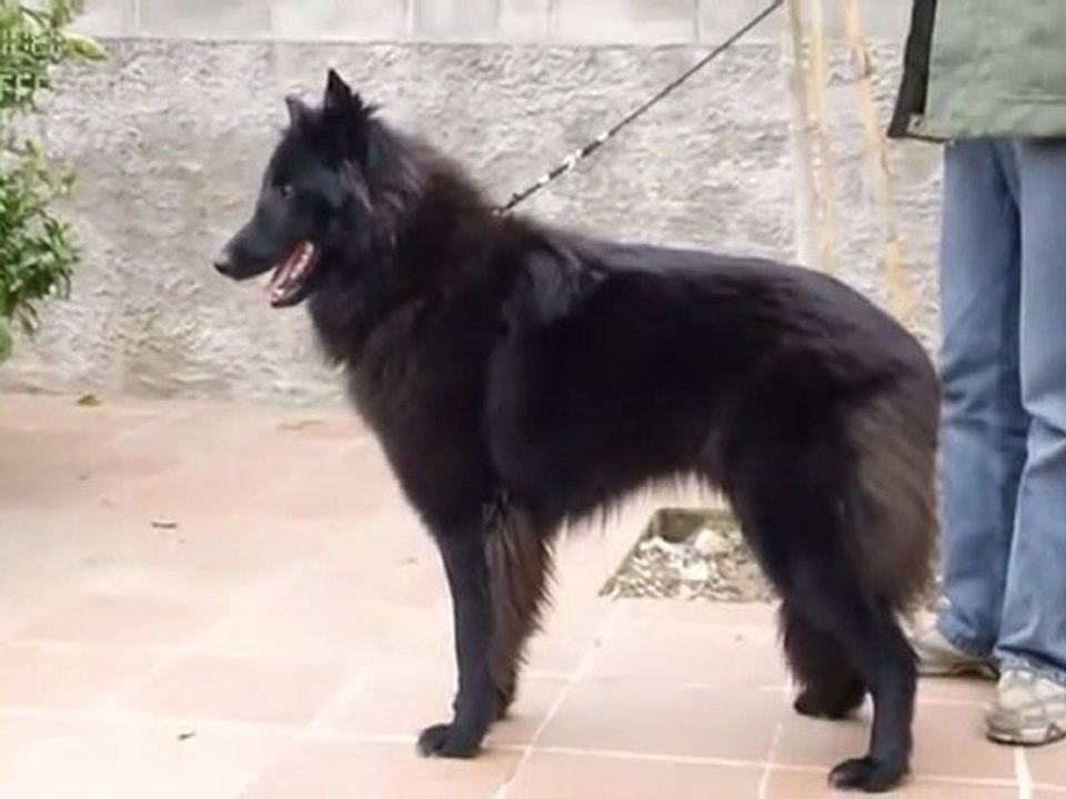 kiva de l´Anoia
