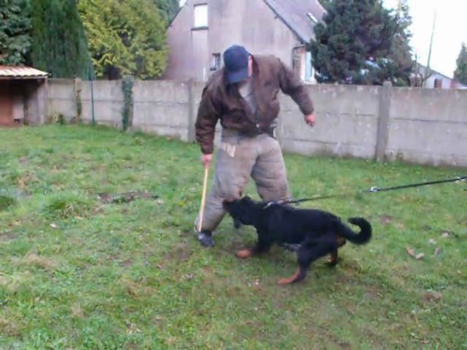 F'GAÏA mordant 7 mois