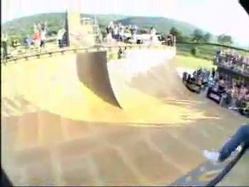 Bam Margera and Tony Hawk