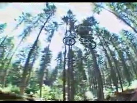 All out grease mtb bike slopestyle downhill freeride dirt