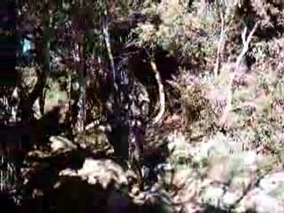 MTB crash remix