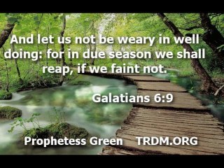 I'm Worth more than You Think Prt. 2