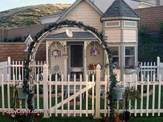 World's Most Expensive Dog Houses