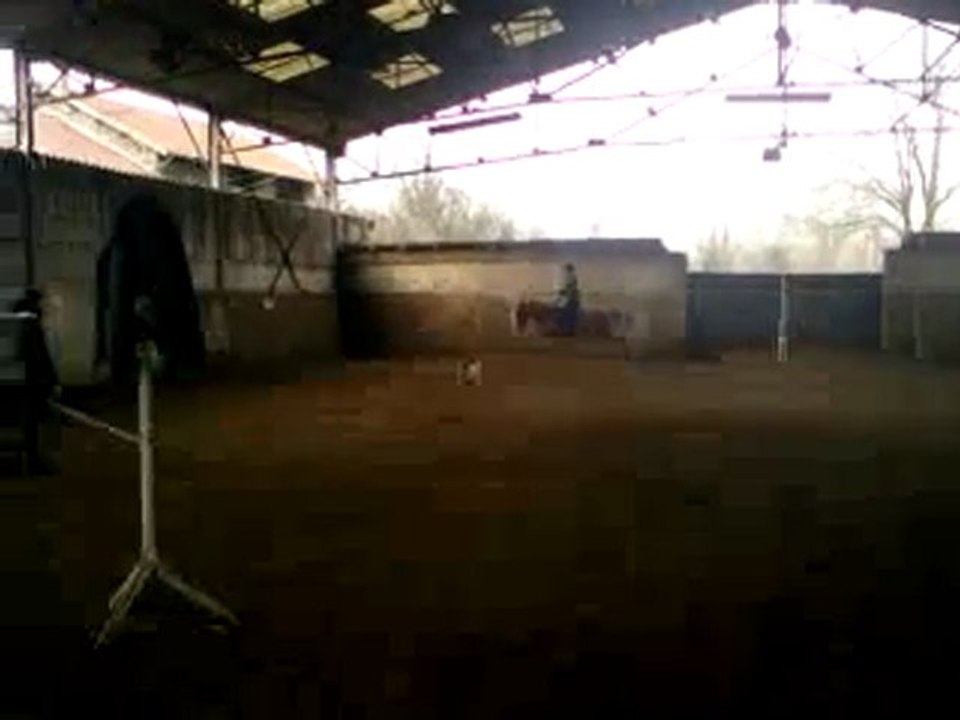 Vidéo0054