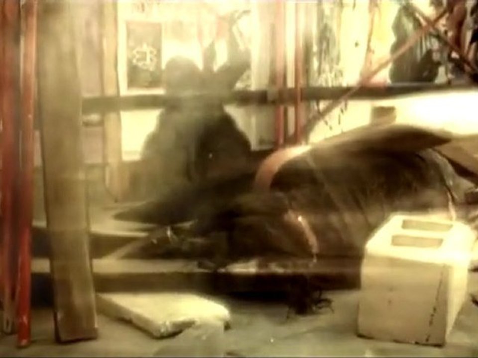 Disturbed - Prayer (Video)