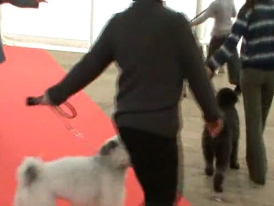 Pumis 1er tour de présentation BOURGES 2011