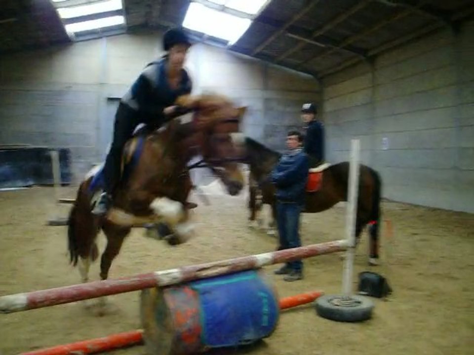 Leçon obstacle Apache & MoOw  [ 19.o2.2o11 ]