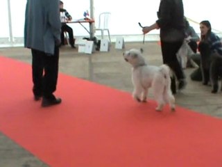 Choco allures BOURGES 2011