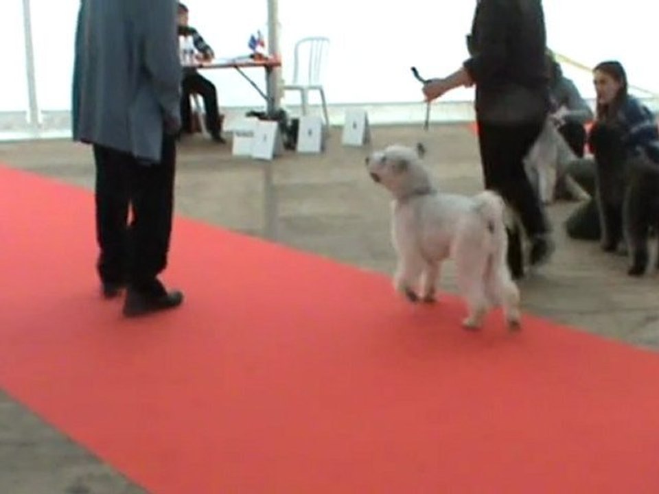 Choco allures BOURGES 2011