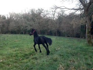 Alane qui vient me voir