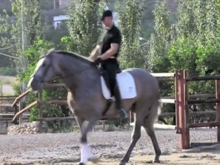 Sementales PRE Montados Febrero 2011