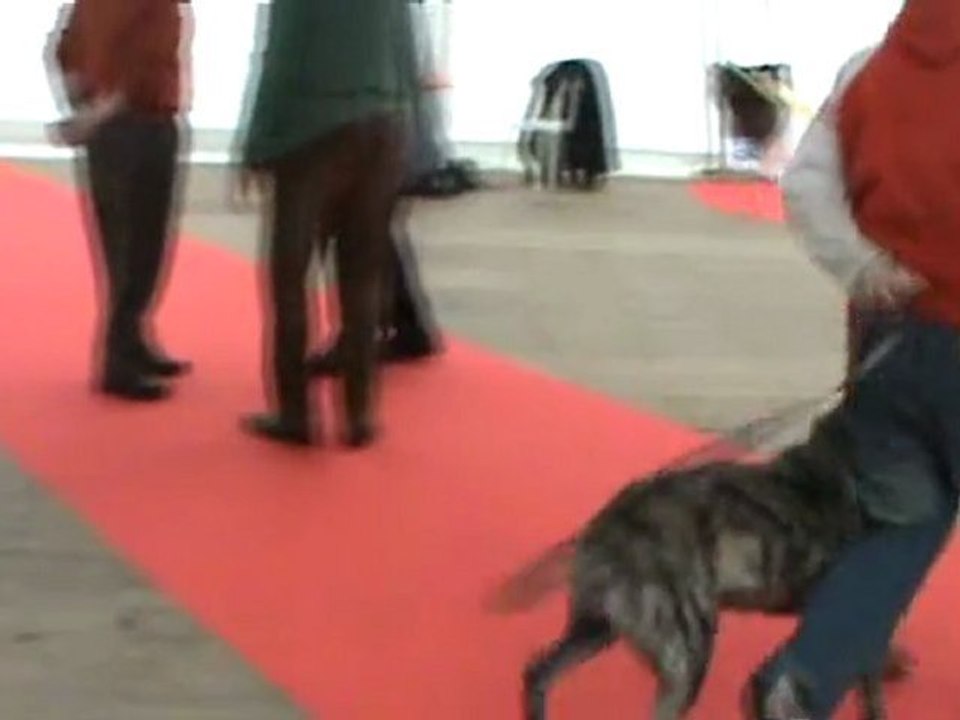 Denett 1er tour BOURGES 2011