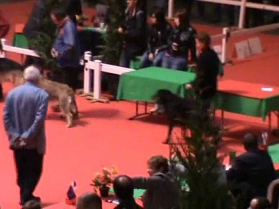 Ring d'honneur jeunes groupe 1 BOURGES 2011