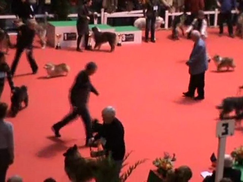 Ring d'honneur groupe 1 jeunes. BOURGES 2011