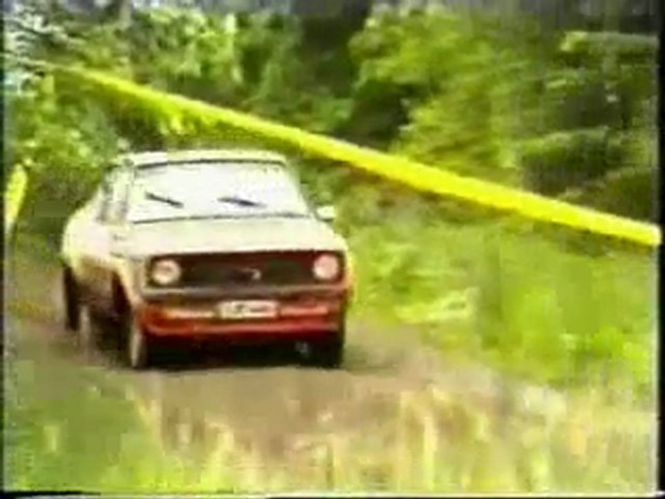 Rally crash 1