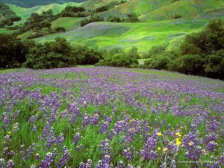 Her Mevsim İçimden Gelip Geçersin  ( Nostalji )