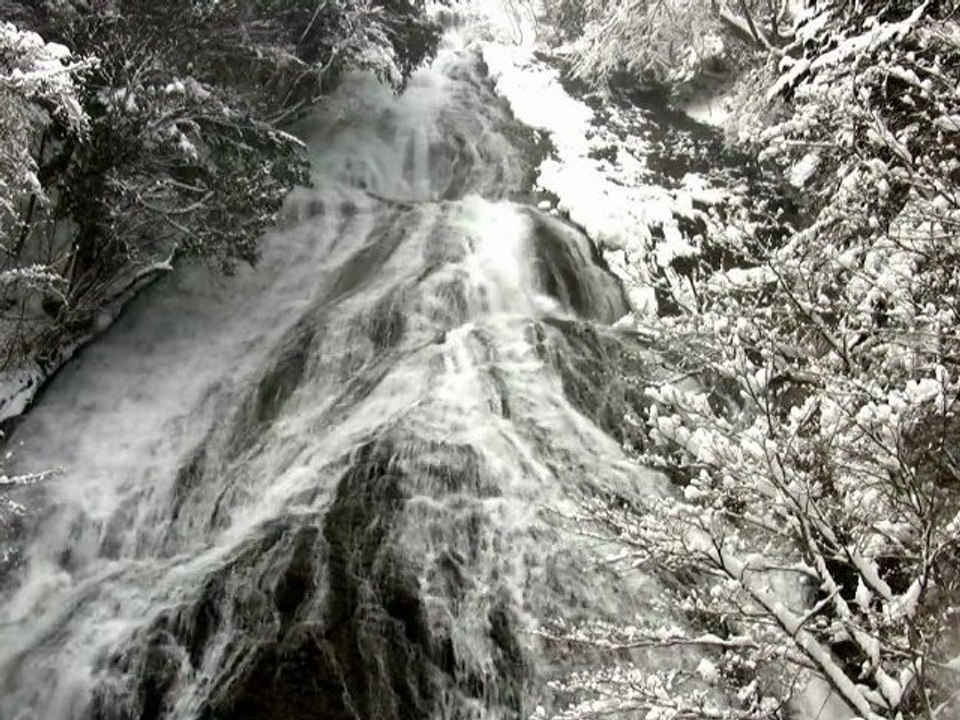 Vivaldi ・ 4seasons Winter ・ JP Nikko Forest Snow Scene 2