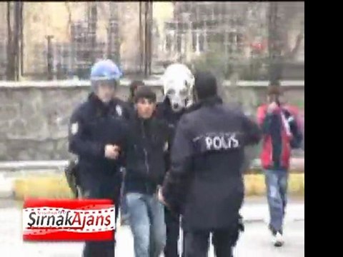 Cizre de olaylar-sirnak-haber-ajansı