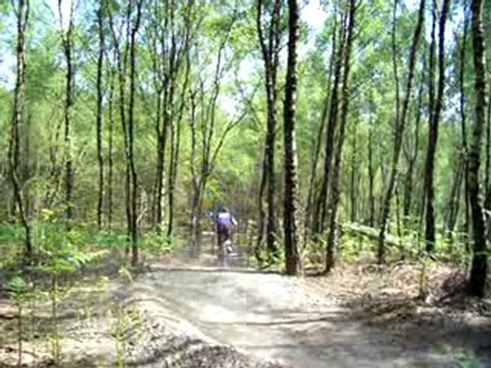 Filthy trail 3
