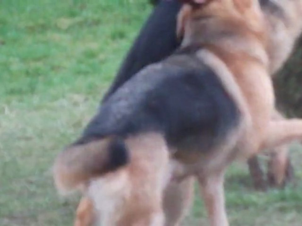 DSCF1578