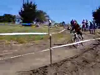 Sea Otter 2007 jonathan olcott