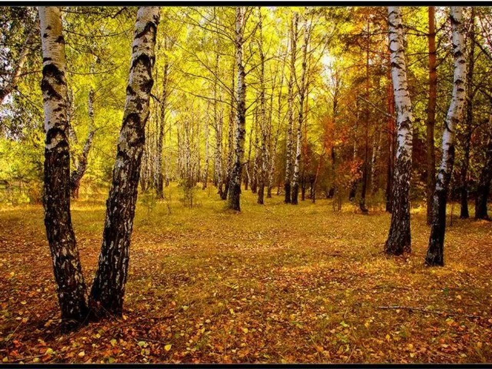 Картинки природа России фото 2011