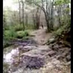 Mountain Bike Judo Flip
