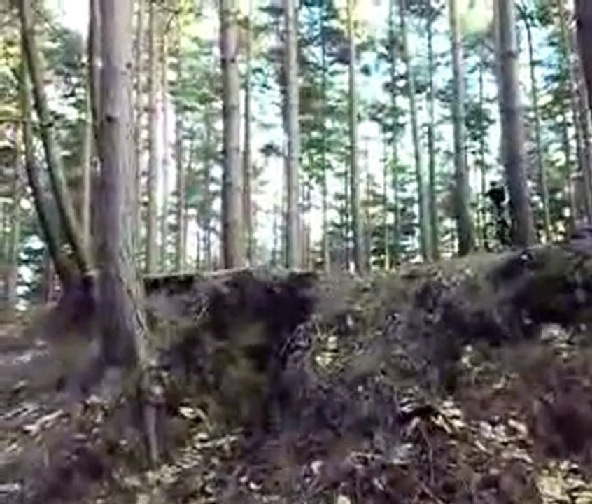 Drop crash
