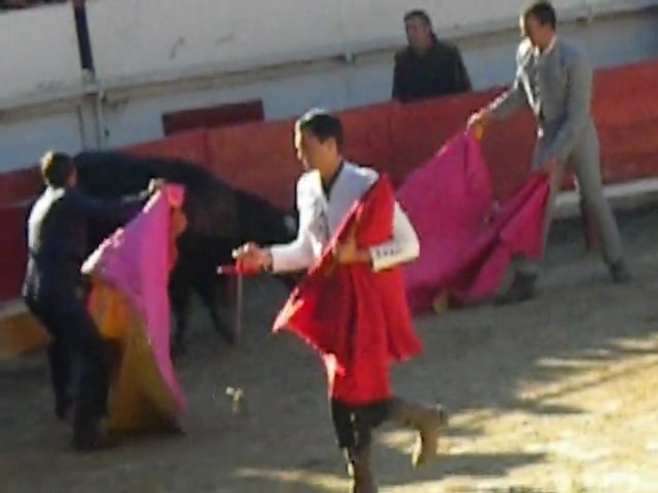 Corrida : Graine de toréros 2010 Générac... L'HORREUR !