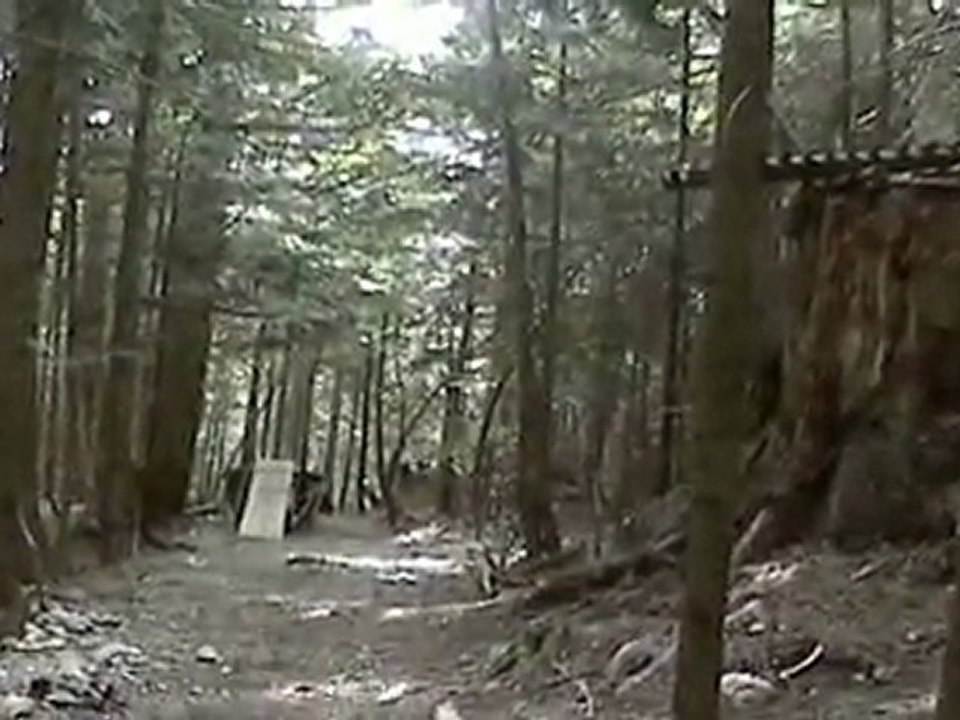 drop