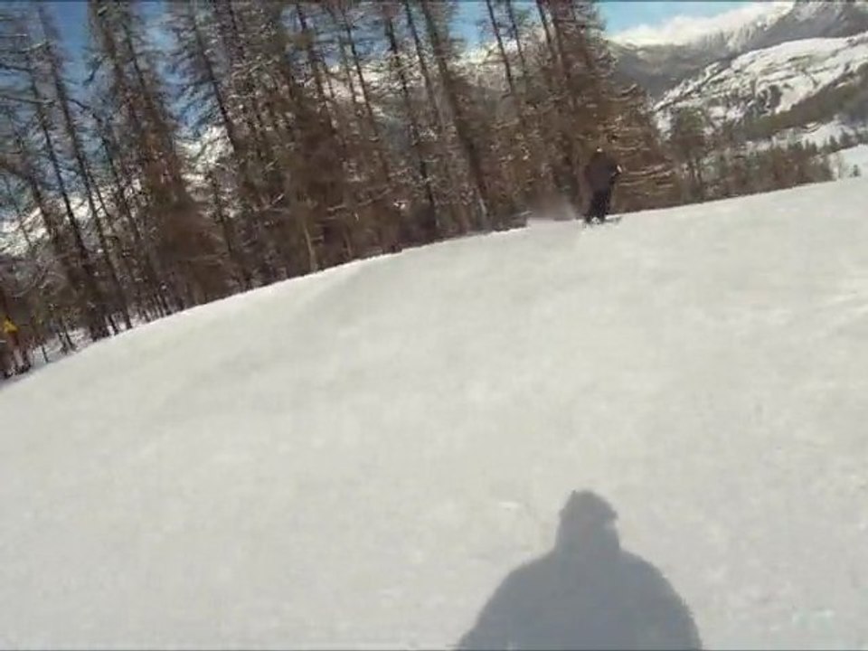 Robin sur les pistes du Sauze