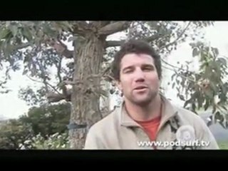 MASSIVE SHIPSTERNS towins - tribute for Steve Irwin.........