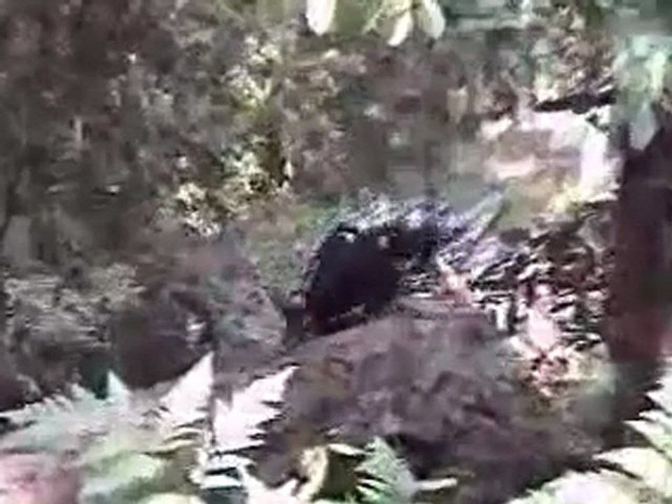 Ouch! Bike Crashes